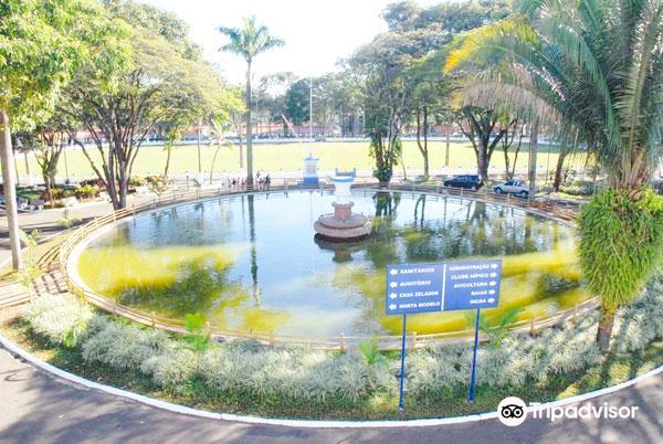 voo Teresina para Franca