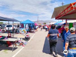 Ascarate flea market