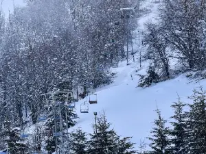 Winter Park