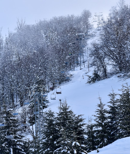 Winter Park