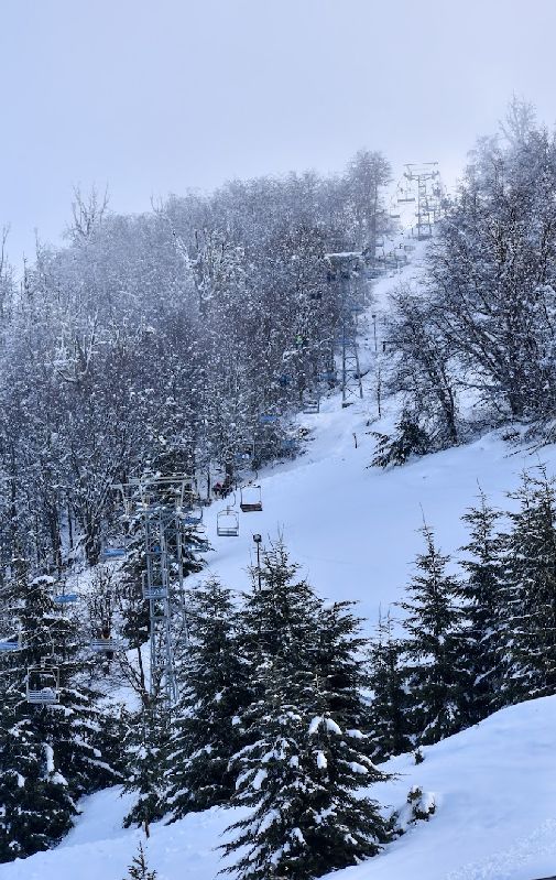 Winter Park