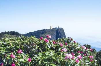 Popular Spring Outings in Emeishan