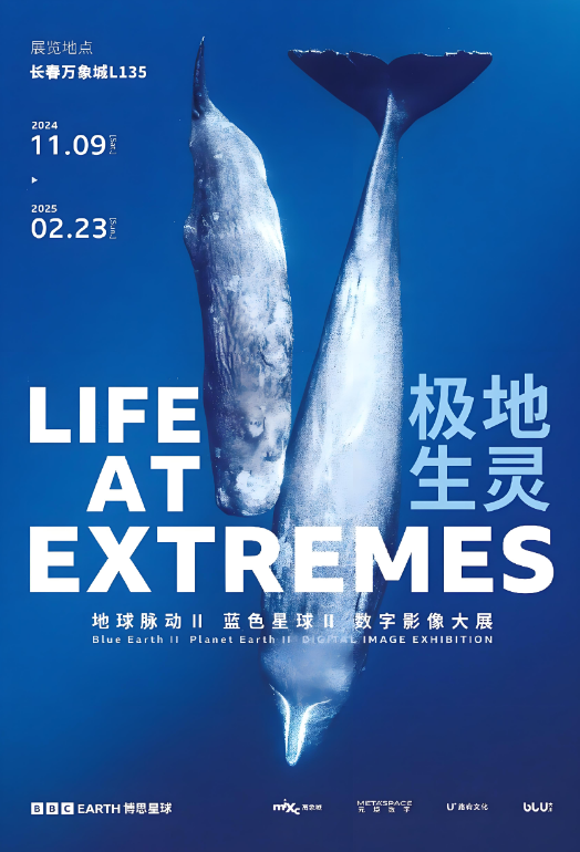 英国BBC EARTH极地生灵数字影像大展 武汉站 | Heartland 66