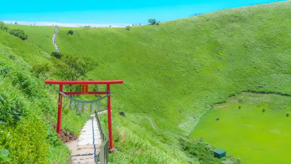 日本+伊豆+大室山一日遊【城崎海岸觀海列車含電車票9人小團】