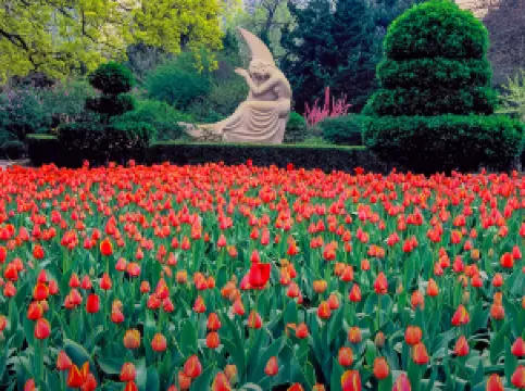 Top 20 Spring Outings in Dalian