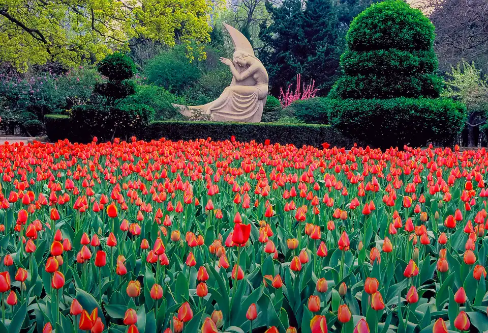 5_Labor Park