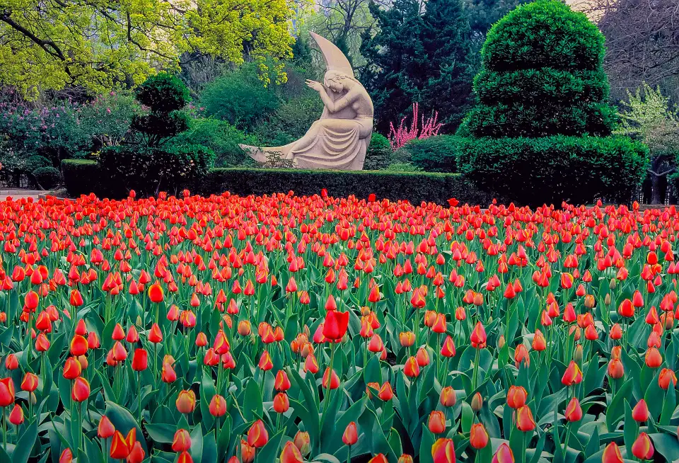 5_สวนสาธารณะแรงงาน