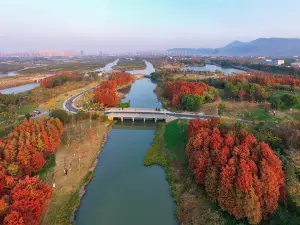 Sanyang Wetland