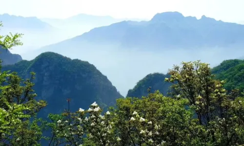 Tourist Attraction of Taihang Wuzhi Mountain