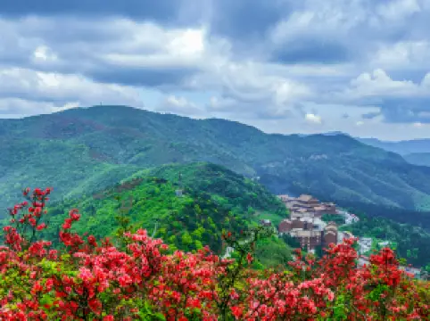 Yangmingshan National Forest Park