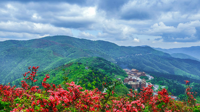 Yangmingshan National Forest Park