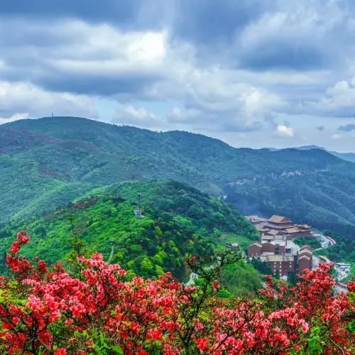 陽明山國家森林公園