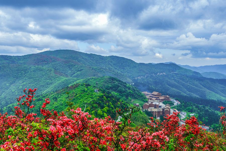 陽明山國家森林公園