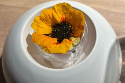 minibar by José Andrés