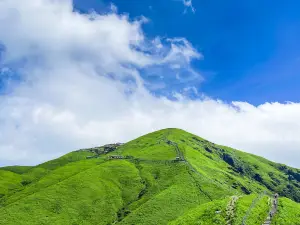 Golden Peak