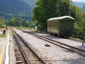 The Šargan Eight