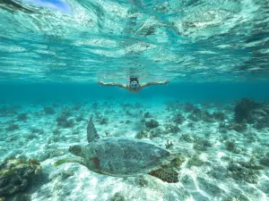 Totof Tours | Blue Bay Mauritius