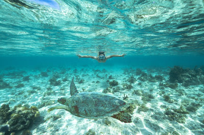 Totof Tours | Blue Bay Mauritius