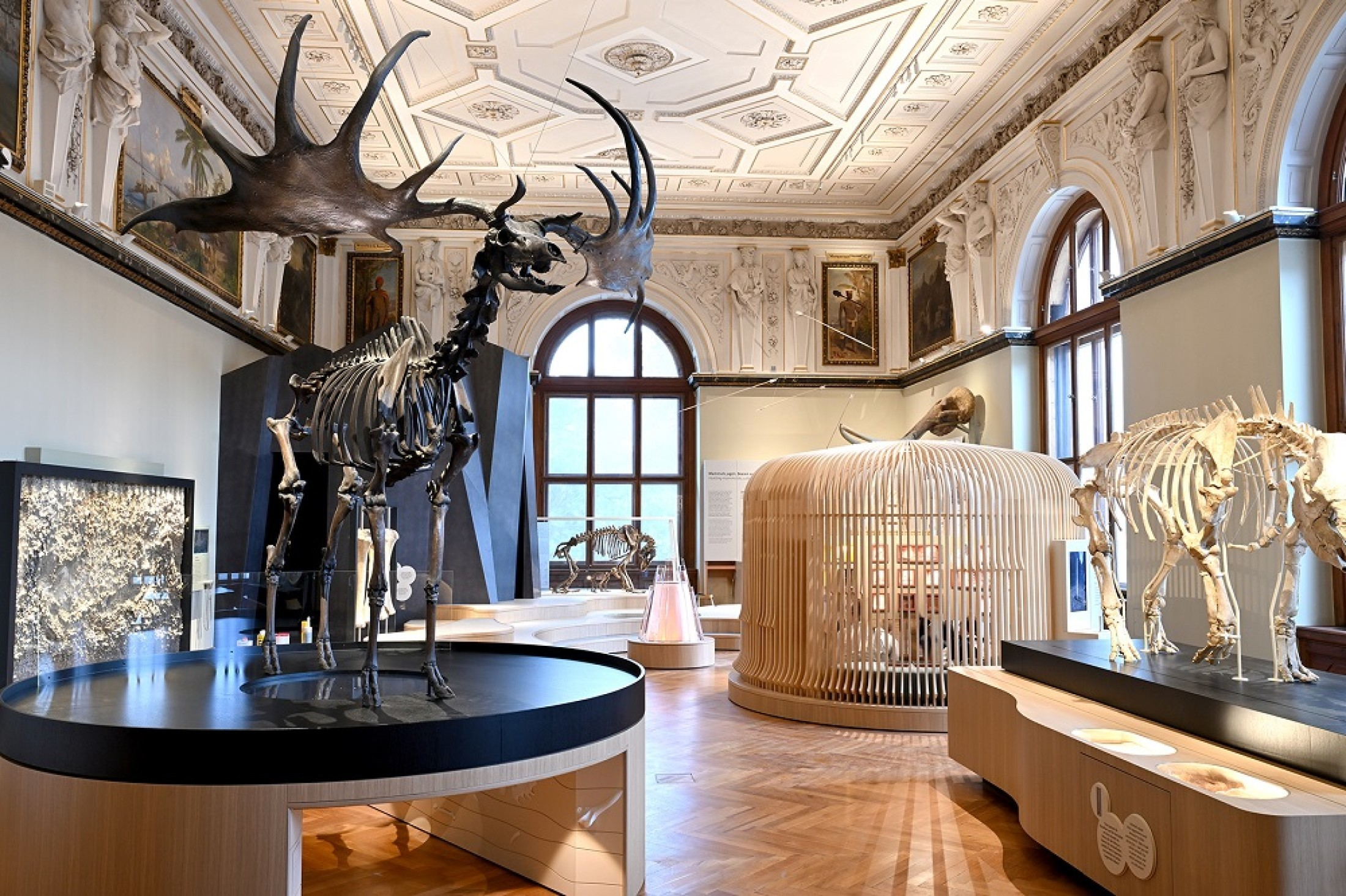 Ice Age Children and their World | Museum of Natural History Vienna