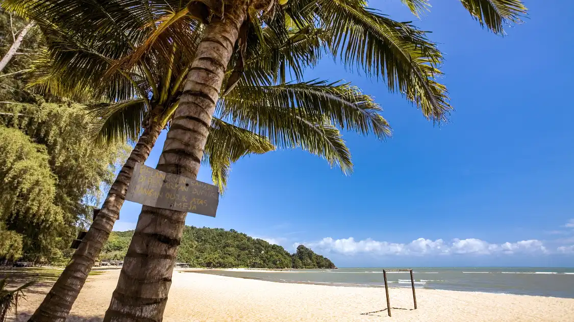 Hotels near Cherating