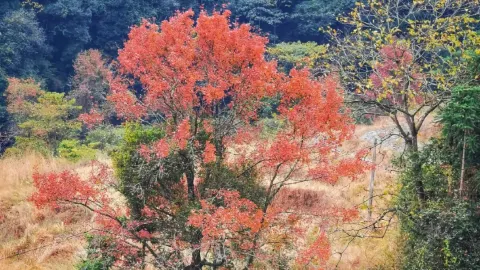 Liangye Mountain attraction in Longyan