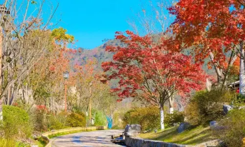 Wenmei Village