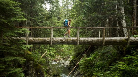 Olympic National Park