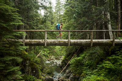 Olympic National Park
