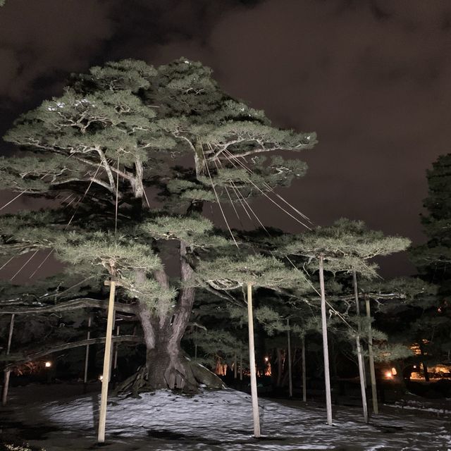 兼六園ライトアップ〜冬の段〜