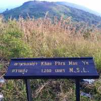 ปีนป่ายเขาหลวง
