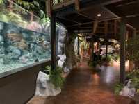 【沖縄】DMMかりゆし水族館