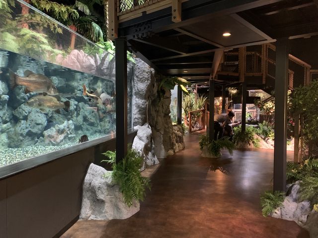 【沖縄】DMMかりゆし水族館
