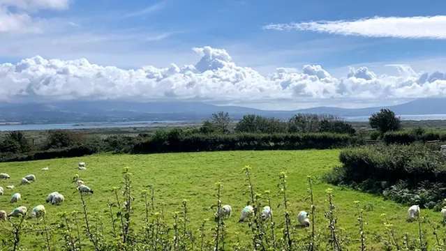 Newborough Forest Holiday Park