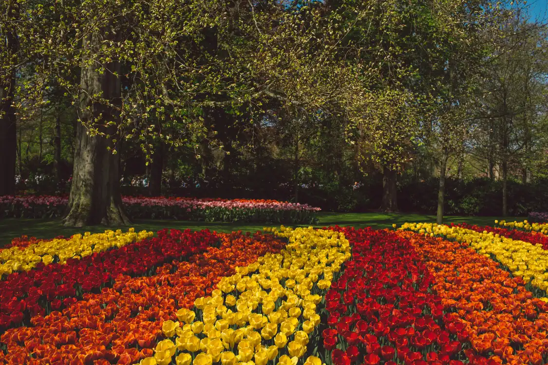 다캉시구/대강계곡 주변 호텔