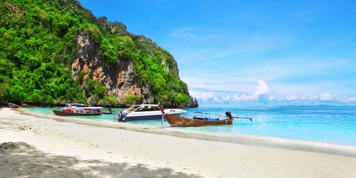 Monkey Beach