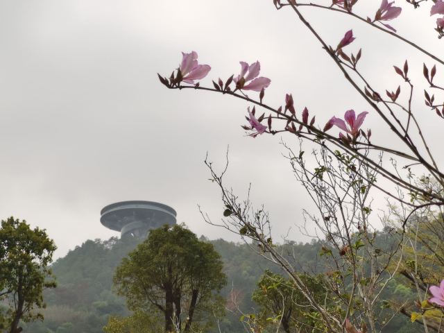 Guangdong Shenguangshan Forest Park