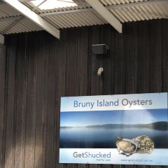 Get Shucked Oyster User Photo
