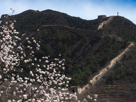 Great Wall Baiyangyu Tourist Area