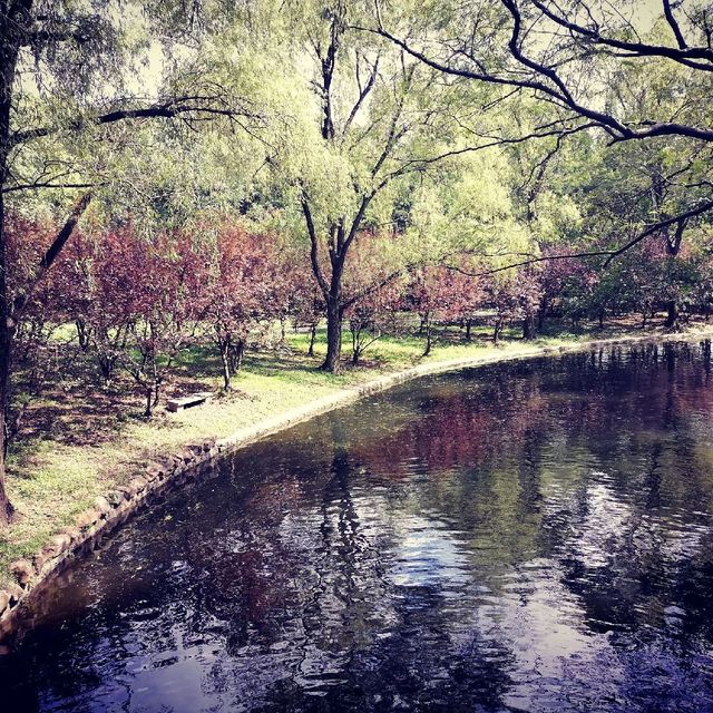 Gongqing Forest Park Shanghai Nature Bli
