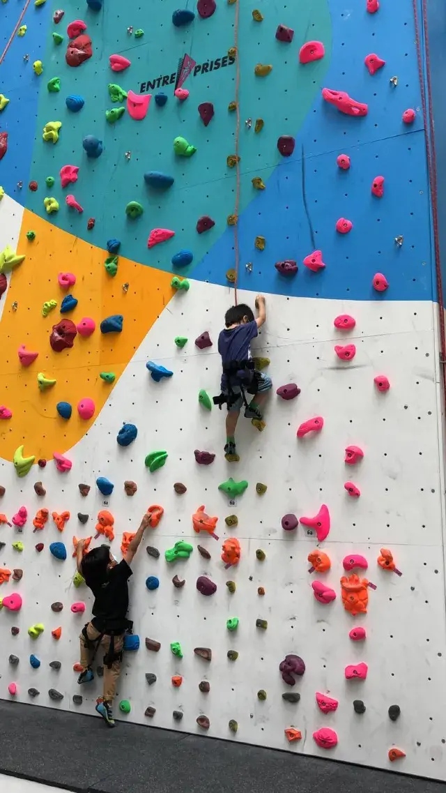 【攀石好去處】 體驗全天候攀石樂趣  2025香港室內攀石場大集合 