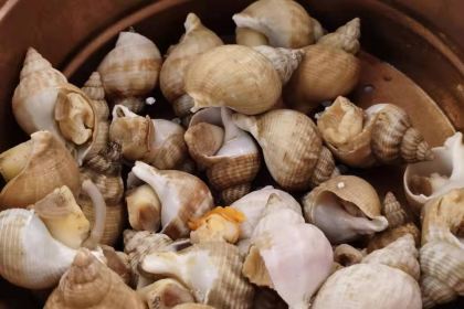 惠州巽寮灣華美達飯店·小螺號主題餐廳