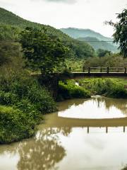 Tangxi Reservoir