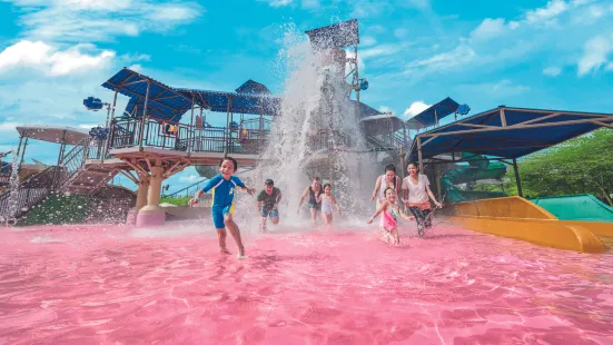 迪沙魯水上樂園