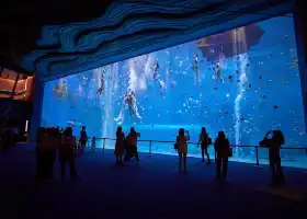 海南海洋歡樂世界度假區