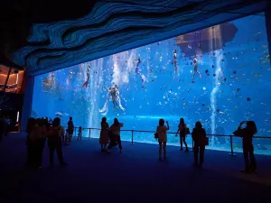 Hainan Ocean Paradise Resort
