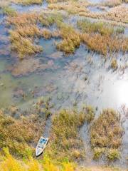 Zhengzhou National Wetland Park of the Yellow River