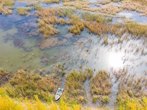 Zhengzhou National Wetland Park of the Yellow River