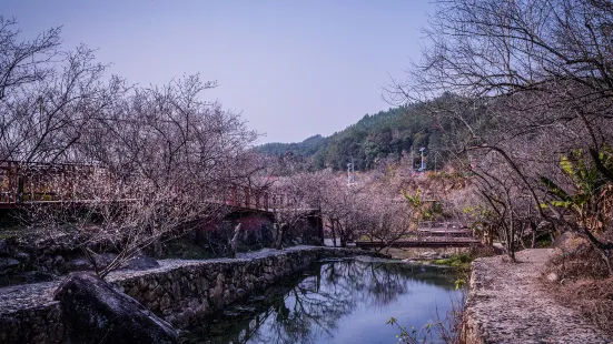 共光梅園