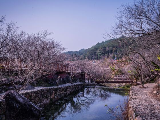 共光梅園