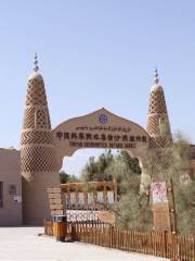 Desert Plants Garden Style